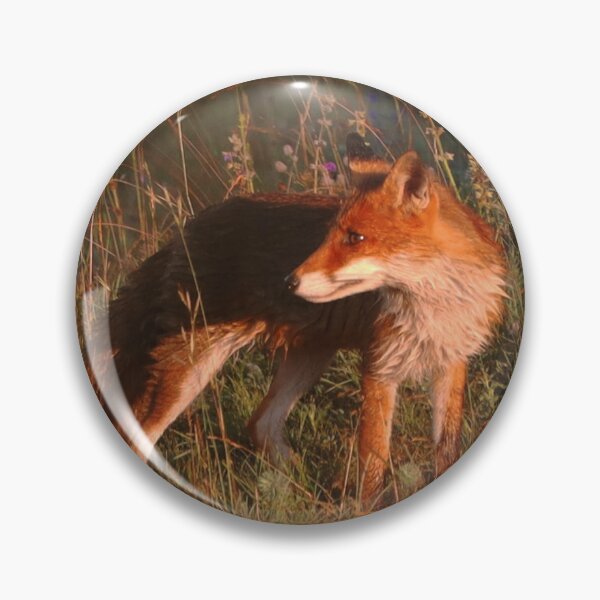 Artikelvorschau, Fuchs auf dem heimweg entworfen und verkauft von Pietschi2022.