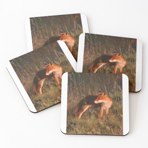Item preview, Fox on the way home designed and sold by Pietschi2022.