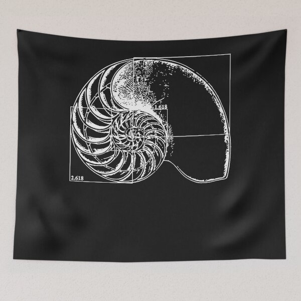 Item preview, Fibonacci on a nautilus shell  designed and sold by ButleAnne21.