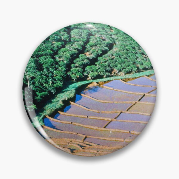 Item preview, 1970s - Ceylon (Sri Lanka) Aerial View of Plantations designed and sold by thatwaslife.
