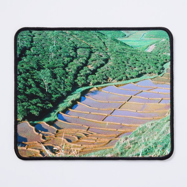 Item preview, 1970s - Ceylon (Sri Lanka) Aerial View of Plantations designed and sold by thatwaslife.