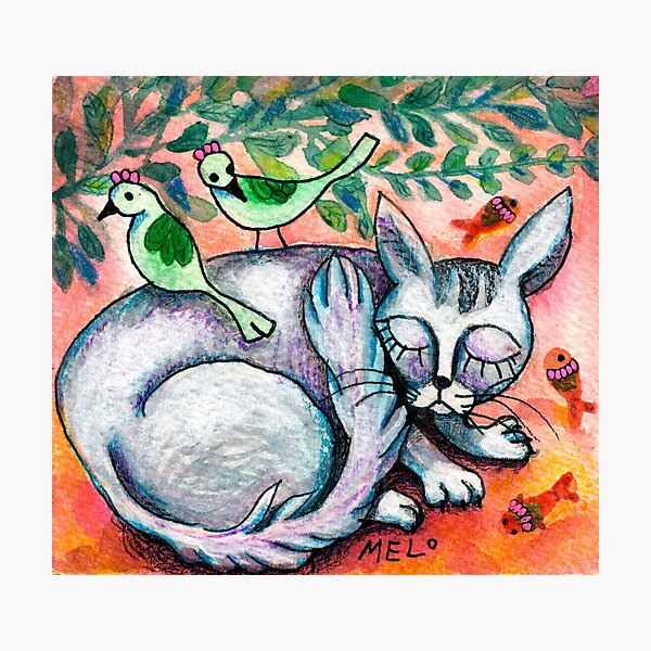 Sleepy Cat Photographic Print