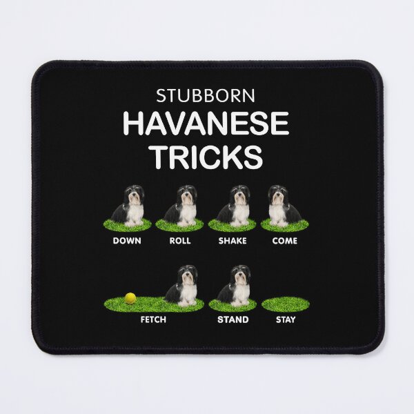 Item preview, Funny Black Havanese - Stubborn, Stubborn and Cute designed and sold by BrainlabStudios.