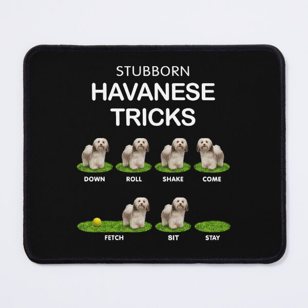 Item preview, Funny White Havanese - Stubborn, Stubborn and Cute designed and sold by BrainlabStudios.