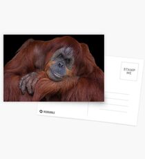 Unconcerned Postcards