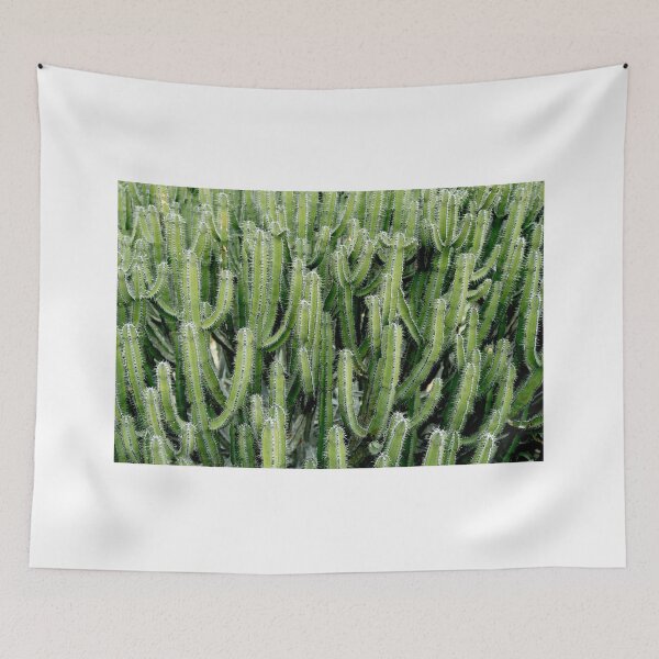 Item preview, Cactus Cactus designed and sold by jsebouvi.
