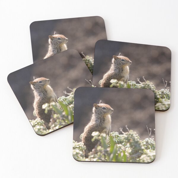 Item preview, Ground Squirrel with Wild Flowers designed and sold by Buckwhite.