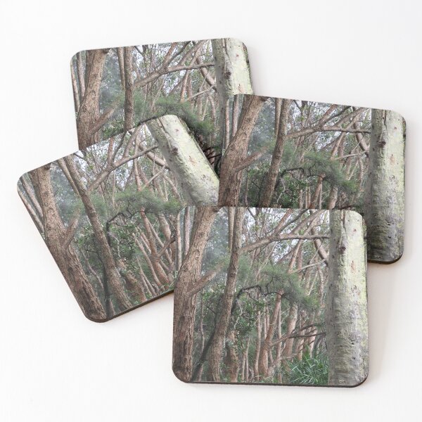 Item preview, Into the Woods ... designed and sold by Siene Browne.