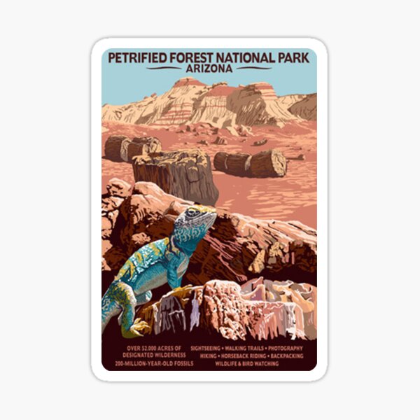 "PETRIFIED FOREST NEW OLD STOCK Vintage.. ARIZONA" STICKER / DECAL 