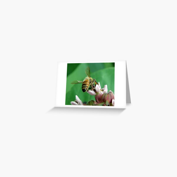 Busy Bee Greeting Card