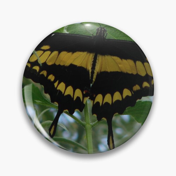 Item preview, Giant Swallowtail - Papilio cresphontes designed and sold by Sharon Perrett.