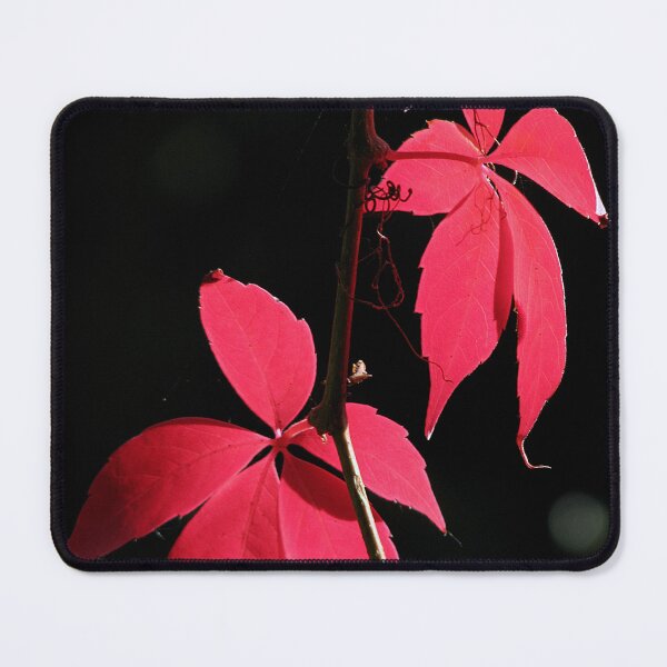 Item preview, Autumn Light designed and sold by Sharon Perrett.