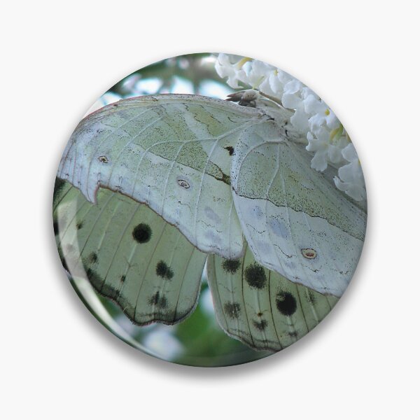 Item preview, Mother of Pearl - Protogoniomorpha parhassus  designed and sold by Sharon Perrett.