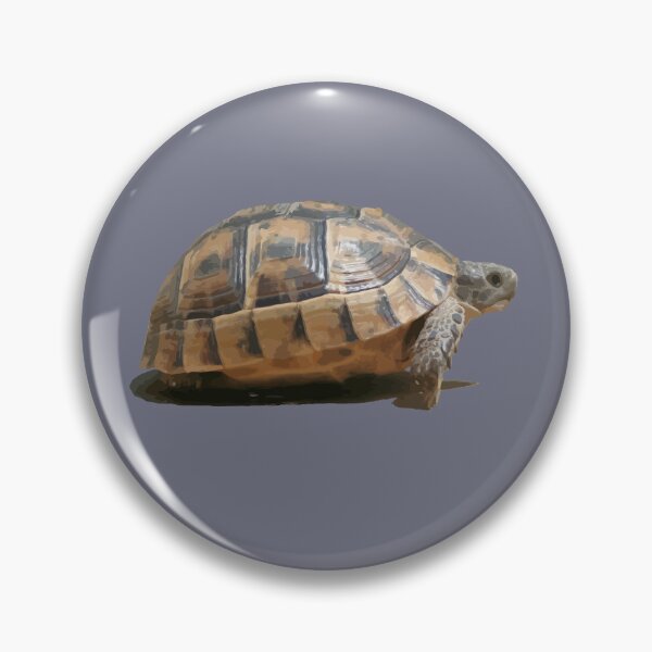 Item preview, Sideview of A Walking Turkish Tortoise Isolated designed and sold by taiche.