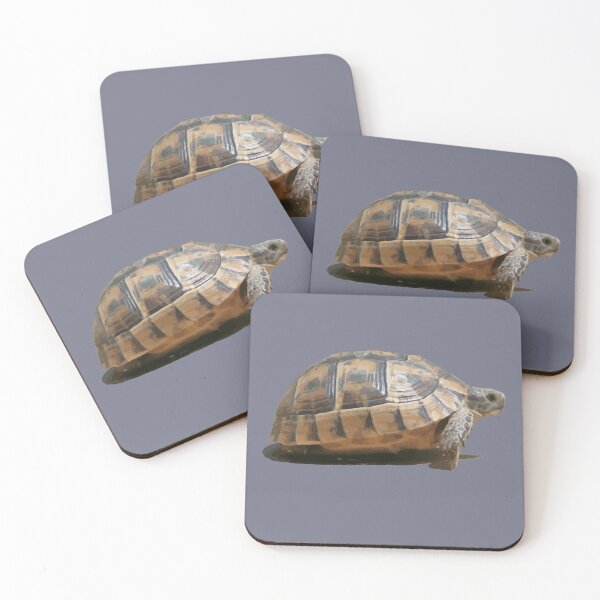 Item preview, Sideview of A Walking Turkish Tortoise Isolated designed and sold by taiche.