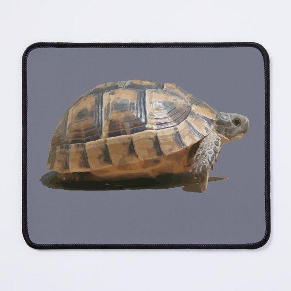 Item preview, Sideview of A Walking Turkish Tortoise Isolated designed and sold by taiche.