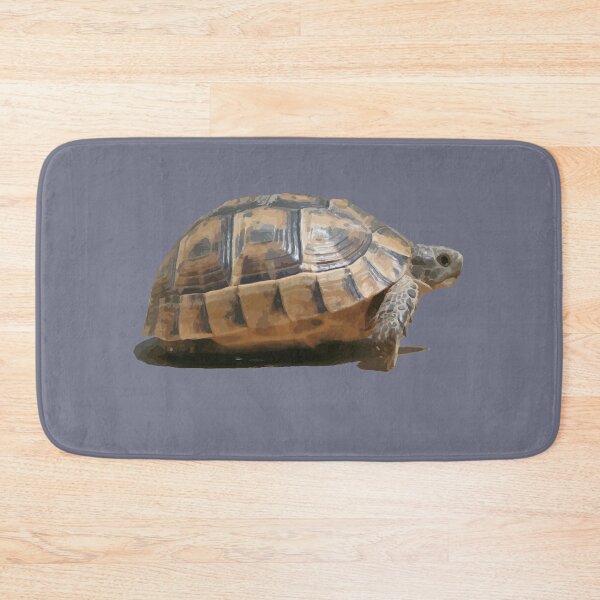 Item preview, Sideview of A Walking Turkish Tortoise Isolated designed and sold by taiche.