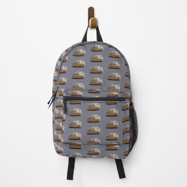 Item preview, Sideview of A Walking Turkish Tortoise Isolated designed and sold by taiche.