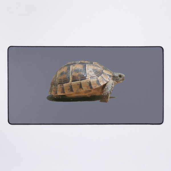 Item preview, Sideview of A Walking Turkish Tortoise Isolated designed and sold by taiche.