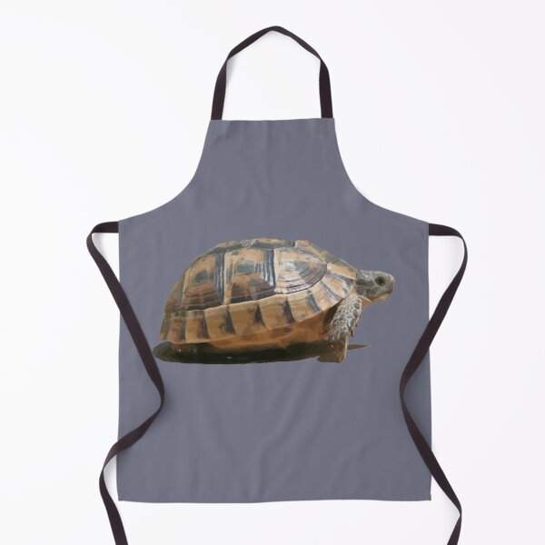 Item preview, Sideview of A Walking Turkish Tortoise Isolated designed and sold by taiche.