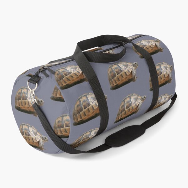Item preview, Sideview of A Walking Turkish Tortoise Isolated designed and sold by taiche.