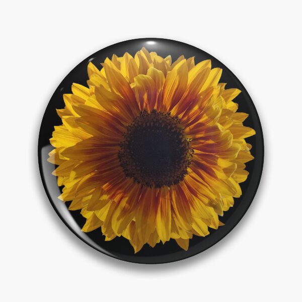 Item preview, Field Guide to Sunflowers, No. 16, Bright Yellow Flower  designed and sold by Kristi Duggins.