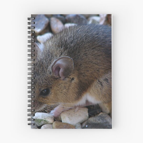 Item preview, A Field Mouse designed and sold by Sharon Perrett.