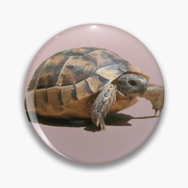 Item preview, Portrait of a Young Wild Tortoise Isolated designed and sold by taiche.