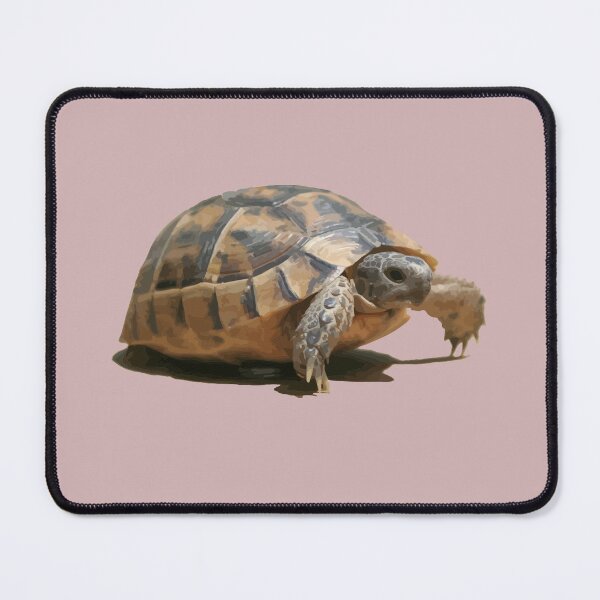 Item preview, Portrait of a Young Wild Tortoise Isolated designed and sold by taiche.
