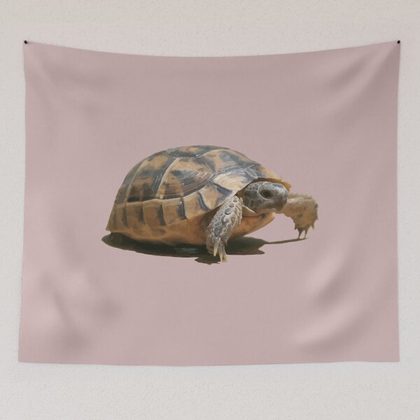 Item preview, Portrait of a Young Wild Tortoise Isolated designed and sold by taiche.
