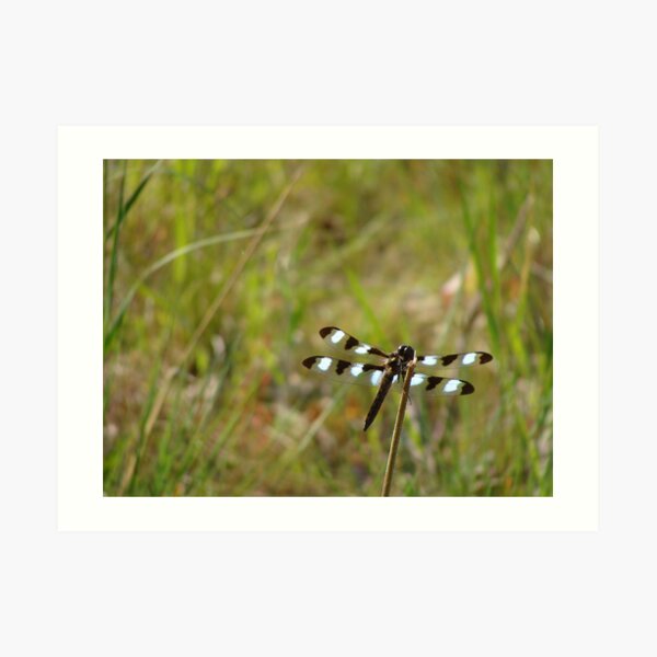 Black and White Art Print