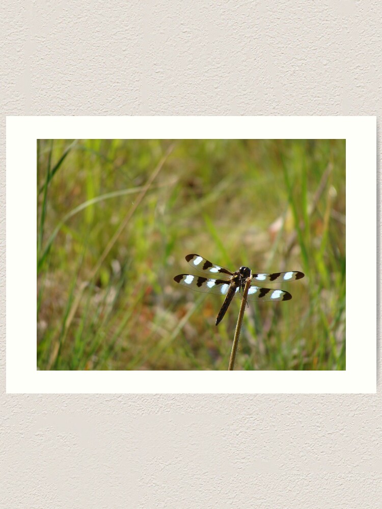 Alternate view of Black and White Art Print