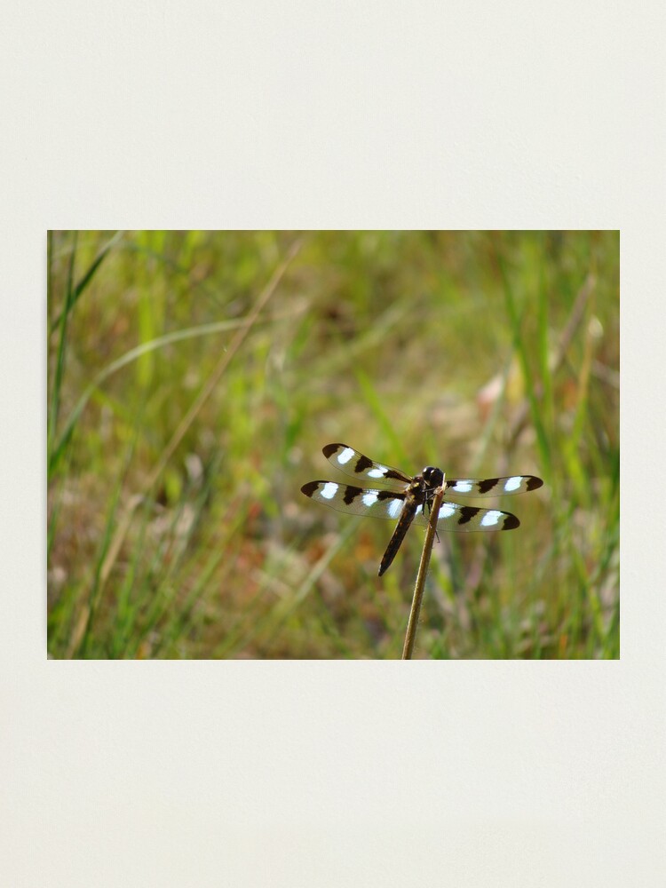Alternate view of Black and White Photographic Print