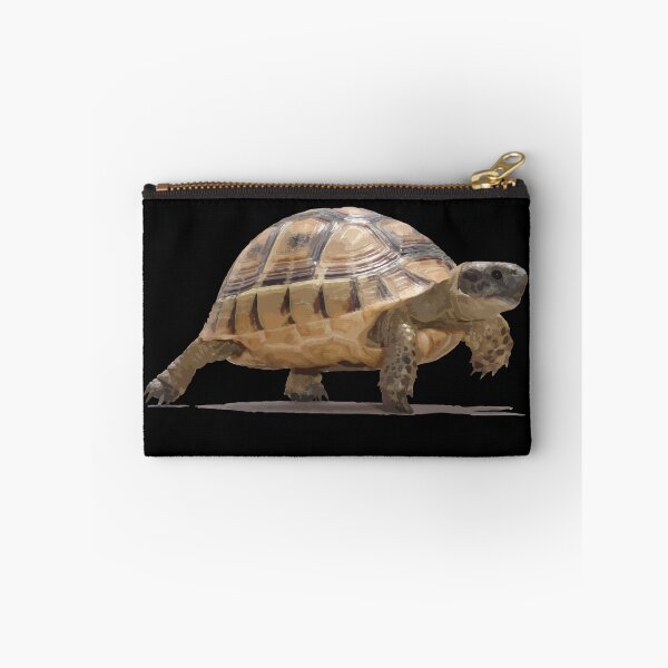 Item preview, Marching Baby Tortoise Cartoon Vector Isolated designed and sold by taiche.