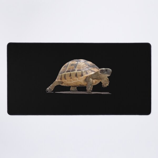 Item preview, Marching Baby Tortoise Cartoon Vector Isolated designed and sold by taiche.