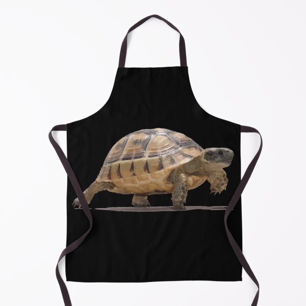 Item preview, Marching Baby Tortoise Cartoon Vector Isolated designed and sold by taiche.
