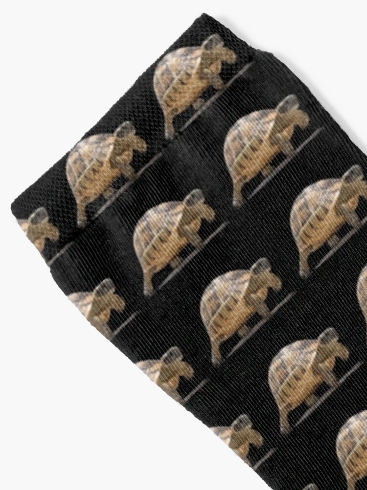Disover Marching Baby Tortoise Cartoon Vector Isolated | Socks