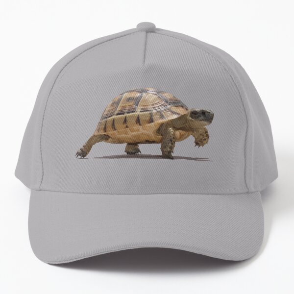 Desert Tortoise Ball Cap