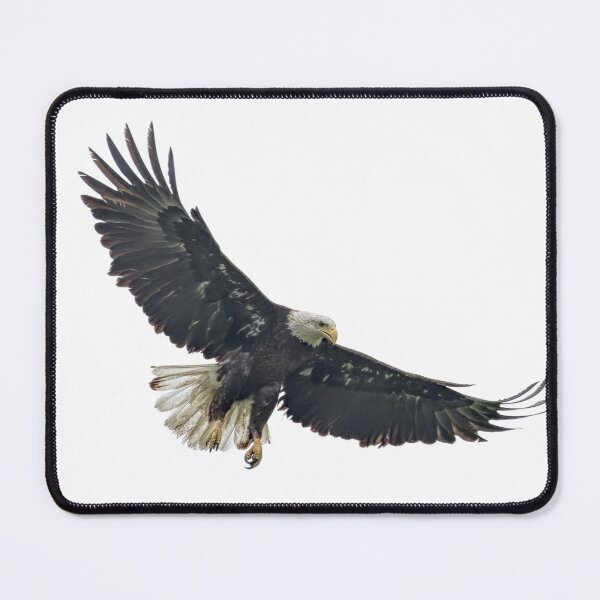 Item preview, Bald eagle  designed and sold by Luis Sandoval.