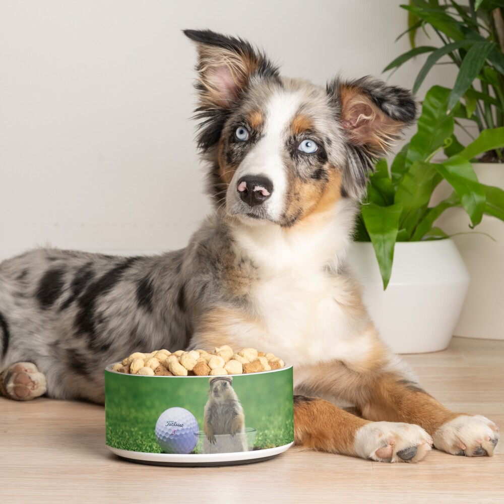 Item preview, Pet Bowl designed and sold by BigRedCurlyGuy.