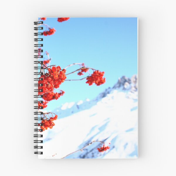 Artikelvorschau, Berry trifft Winter entworfen und verkauft von Filifjonka.