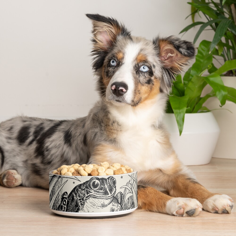Item preview, Pet Bowl designed and sold by MinistryOfFrogs.