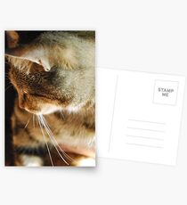 'Mouse' Postcards