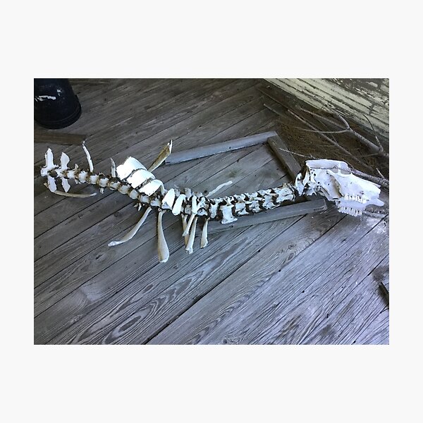 Item preview, Skeletal Remains designed and sold by SkylarMuller.