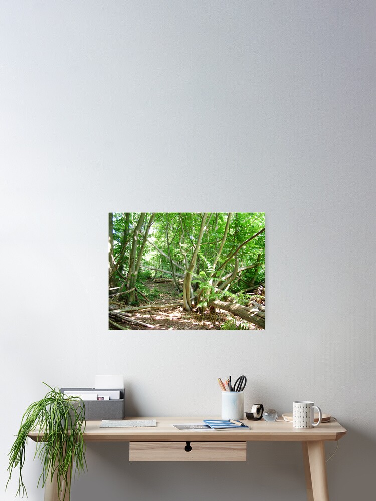 Thumbnail 2 of 3, Poster, Wild Wood designed and sold by TimHatcher.