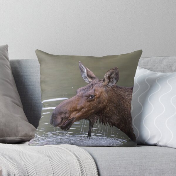 Item preview, Female Moose Head Shot designed and sold by Bo Insogna.