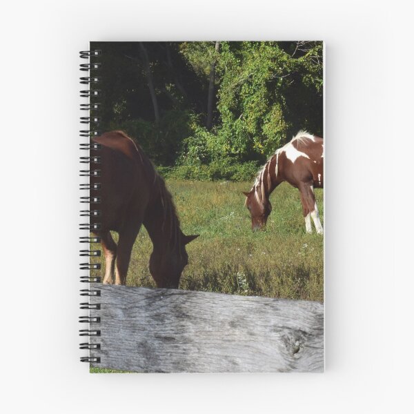 Item preview, That Paint Horse designed and sold by beachstudio.
