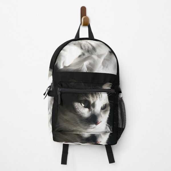 Item preview, Fotografía original Cat Neko Gato Katze designed and sold by droogdionne.