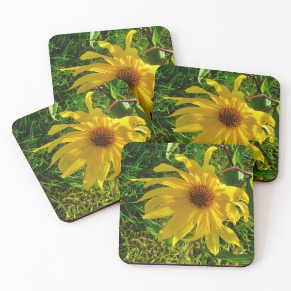 Item preview, Drooping Daisy designed and sold by Shulie1.