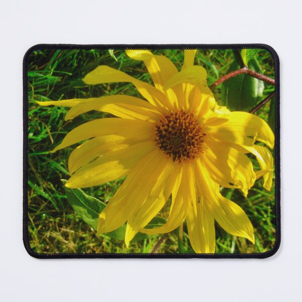 Item preview, Drooping Daisy designed and sold by Shulie1.
